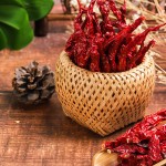 Red Chili Pepper Supplier - Nature Spice Export