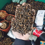 Dried Cloves Supplier - Yulin Spices Product