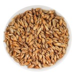 Barley Tea Supplier - Cheap Organic Roasted
