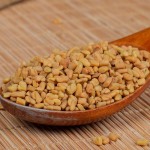 Fenugreek Seed Supplier - Wholesale Herb Spice