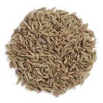 Whole Cumin Seeds Factory - Wholesale Single Spice