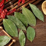 Dried Bay Leaf Factory - Kitchen Spice Quality