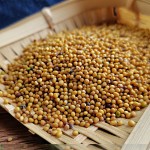 Mustard Seeds Supplier - Reliable Bulk Food