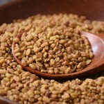 Fenugreek Seed Supplier - Wholesale Herb Spice
