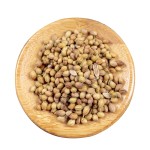 Coriander Seed Supplier - Factory Price Spice