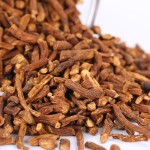 Dandelion Root Manufacturer - New Stock Natural Herb