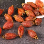 Gardenia Fruit Factory - Pure Natural Dried Spice