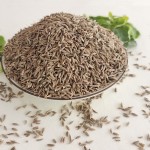 Cumin Seeds Manufacturer - Natural Barbecue Seasoning