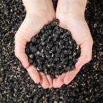 Black Goji Berry Manufacturer - Lycium Ruthenicum Nutrition