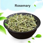 Rosemary Leaf Factory - Factory Price Seasoning