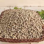 White Pepper Supplier - AD Dried Spice Herbs