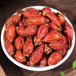 Gardenia Fruit Supplier - Good Quality Single Spice