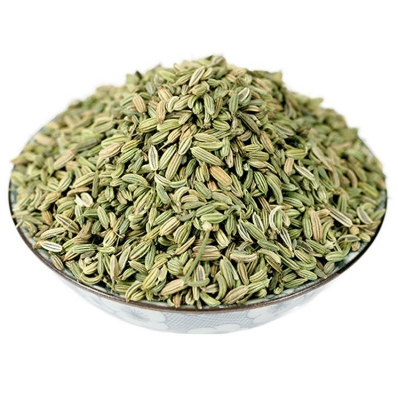 Green Fennel Seeds Supplier - Bulk Single Spices