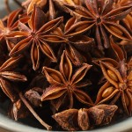 Common Star Anise Supplier - Customized Spices New