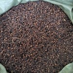 Premium Cloves Manufacturer - China Wholesale Spice