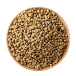 Coriander Seeds Manufacturer - Bulk Natural Herbs