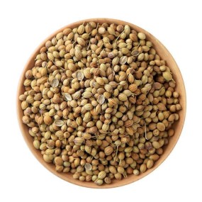 Coriander Seeds Manufacturer - Bulk Natural Herbs