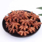 Common Star Anise Supplier - Customized Spices New