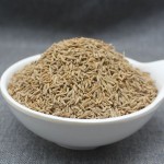 Dried Cumin Seeds Supplier - Good Quality Seasoning