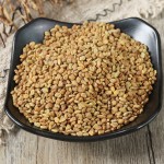 Fenugreek Seeds Manufacturer - Organic Herbs Tea