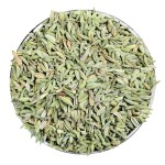 Green Fennel Seeds Supplier - Bulk Single Spices