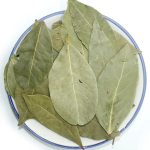 Laurel Leaves Supplier - Nature Color Single Spice