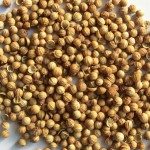 Coriander Seeds Manufacturer - Organic Spices Seasoning