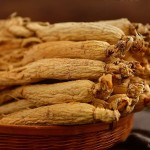 Ginseng Root Manufacturer - Natural Wild Panax