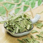 Lemon Grass Leaves Factory - High Quality Raw Herb