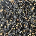 Black Goji Berry Manufacturer - Lycium Ruthenicum Nutrition