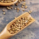 Coriander Seeds Supplier - Indian Premium Quality
