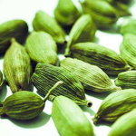Green Cardamom Supplier - Cheap Price Natural