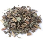 Peppermint Leaf Supplier - Chinese Traditional Herbs