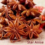 Whole Star Anise Factory - Natural Brown Spice