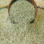 Fennel Seeds Supplier - Customized Natural Spices