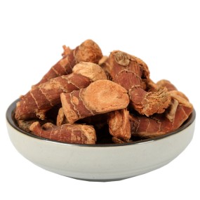 Galangal Roots Manufacturer - Pure Seasonings Quality