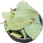 Laurel Leaf Factory - Chinese Natural Greenish