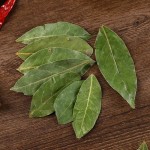 Bay Leaf Supplier - Wholesale Seasoning Spice
