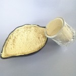 Garlic Powder Manufacturer - Food Grade Dehydrated