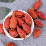 Gardenia Fruit Supplier - Good Quality Single Spice