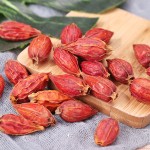 Gardenia Fruit Supplier - Good Quality Single Spice