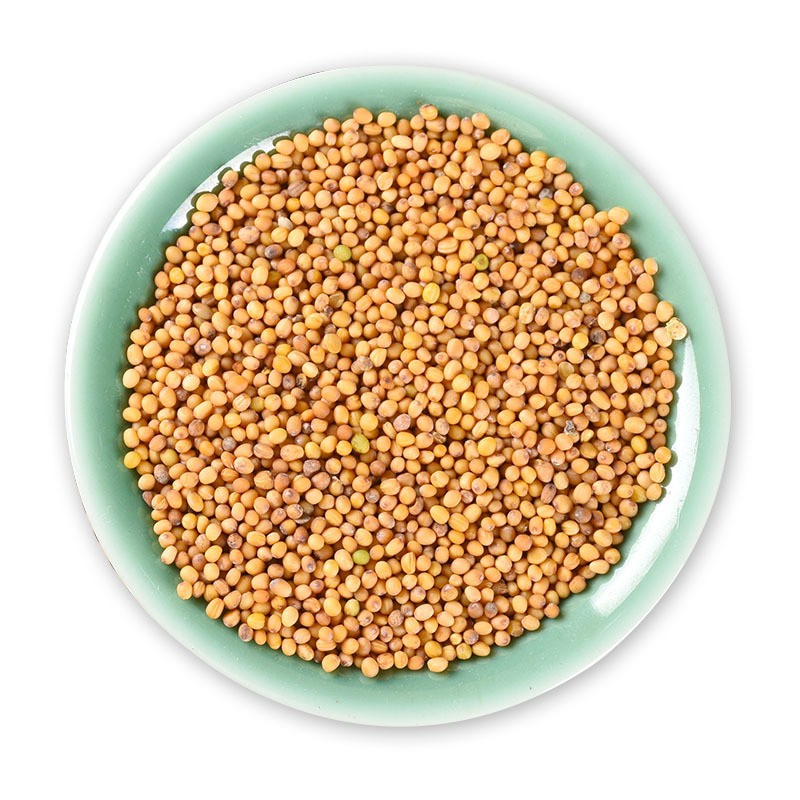 Mustard Seeds Supplier - Reliable Bulk Food