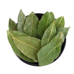 Bay Leaves Supplier - Wholesale Food Spice