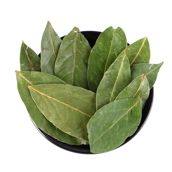 Bay Leaves Supplier - Wholesale Food Spice