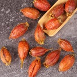 Gardenia Fruit Factory - Pure Natural Dried Spice