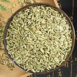 Dried Fennel Factory - China Herb New Crop
