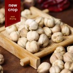 White Cardamom Factory - High Quality Kitchen Spice