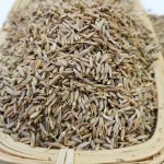 Cumin Seeds Factory - China Suppliers Organic