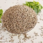 Whole Cumin Supplier - Organic Seasoning Bulk