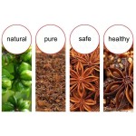 Whole Star Anise Factory - Natural Brown Spice
